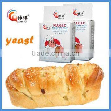 Bakery Yeast Cake Yeast Bread Yeast in China photo-5