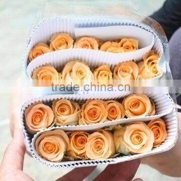 Best Selling Wedding Flower Fresh Cut Yellow Rose Wholesale From YUNNAN