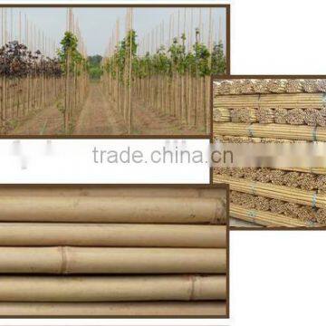 Hot Selling bamboo pole solid With Great Quality