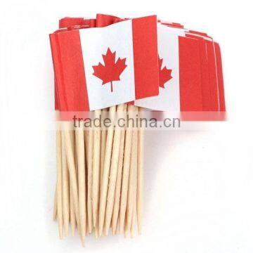 Home Decor Cake Decoration Cupcake Picks Mini Toothpick Picks Mini Canada Flag