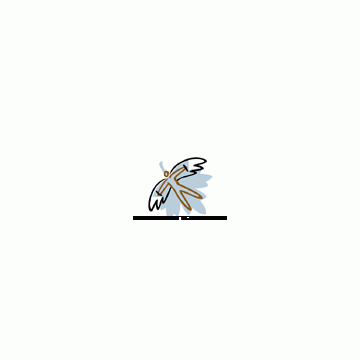 Skymaple Corporation