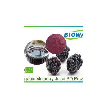 Organic Mulberry Juice Powder