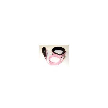 pet collar & leash
