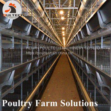 H type layer chicken chicken cage with full automatic equipment for 50000 birds