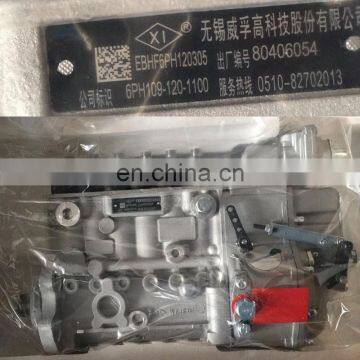 Weifu Injection Pump EBHF6PH120305  6PH109-120-1100 5260150