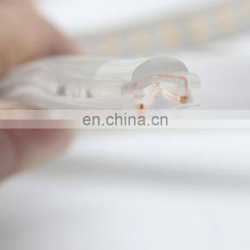 2020 Flexible 220V SMD 3038 144LEDs per Meter Light Tape Christmas Light LED Strip