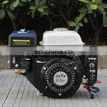 Power 55 Gasoline Engine Bs160 55Hp 168F Carosin 6.5Hp 2 Stroke Ohv Mx160 photo-2