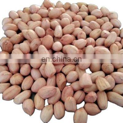 Peanuts wholesale peanuts with best price/High quality new 2021 dried shelled peanuts for food from Vietnam