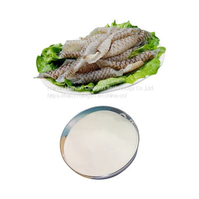 Collagen Factory Marine Fish Small Molecule Fish collagen peptides hydrolyzed photo-2