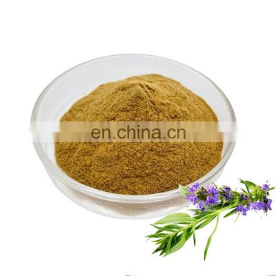 Free Sample Verbena Officinalis Extract 10:1 Ratio for Daily Products