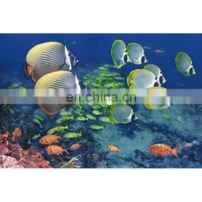 photos 3d bathroom fish tile