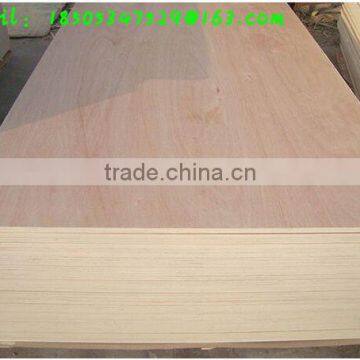 full poplar plywood