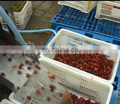Best Cherry Stem Removing Machine Cherry /fruit Processing Machine photo-4
