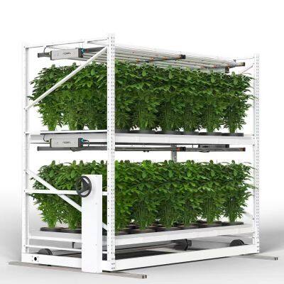 Multi-layer seedbed  Nursery rack  Planting rack  Tidal seedbed  Greenhouse seedbed  Multi-tier planting racks