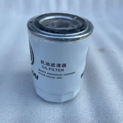 Hot Selling High Quality Fuel Filters 1000395855 Oil Filter for Wei Chai Top Construction Machinery Parts photo-3
