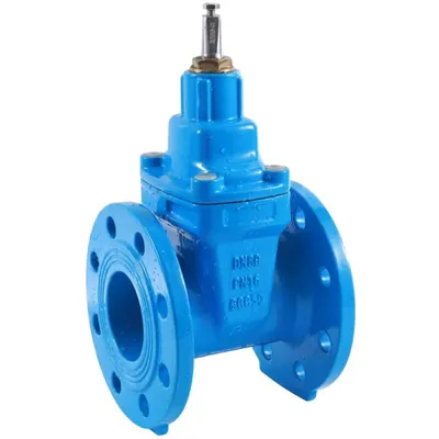Factory Supply Cast Iron Flanged Resilient Seat Gate Valve