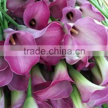 Special unique natural touch calla lily