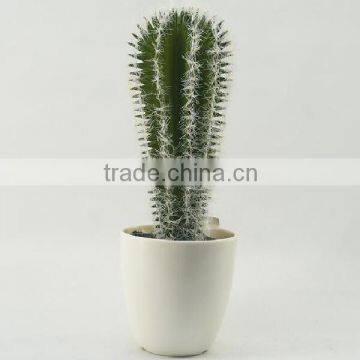 Best selling artificial plants cactus bonsai wholesale for desk decoration