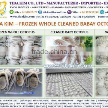 FROZEN WHOLE BABY OCTOPUS VULGARIS CLEANED BABAY OCTOPUS SHRIMP TIDA KIM LOPSTER VIETNAM FISH FILLETS BASA FRESH ALIVE NATURAL