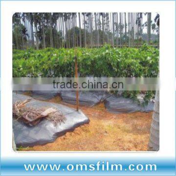 Agricultural and Horticultural Planters Mulching Paper