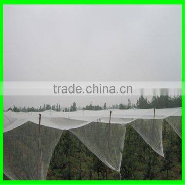 Yemen Selvage Anti Hail Net /100% Virgin HDPE Knitted Anti Hail Net photo-5