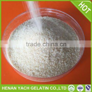 pork skin gelatin