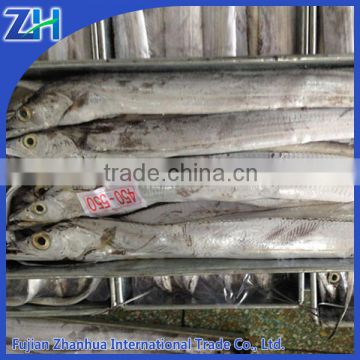 High quality Frozen ribbon fish