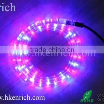 2 wire ce rohs submersible led rope light