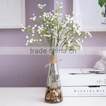 Higher Quality & Clear Glass Vase