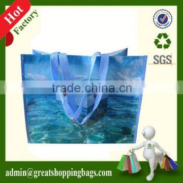 handle pp non woven bags for shopping