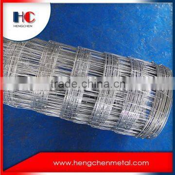 Professional manufacturer grassland wire fence mesh for cattle