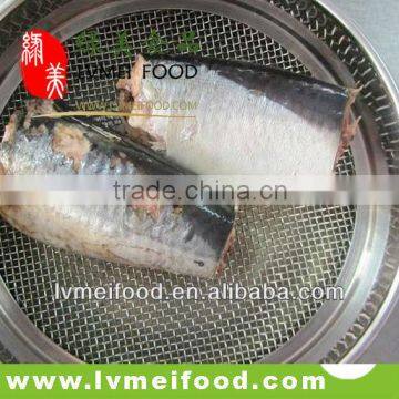 Mackerel Fish in Brine