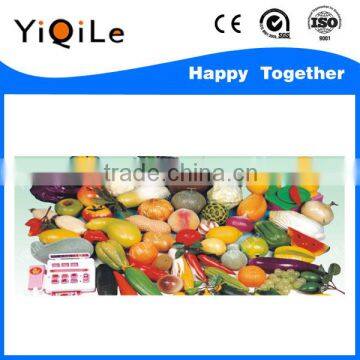 Kids Other Toys Vegetable Toys and Kids Plastic Toys photo-4