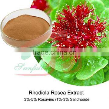 natural Rhodiola rosea extract