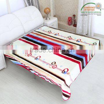 Hot Selling 3D New Design 100 % Polyester Korean Style2Ply Mink Blanket