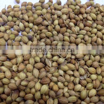 CORIANDER SEEDS photo-2