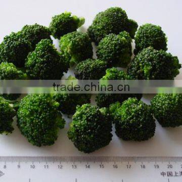 IQF Broccoli photo-5