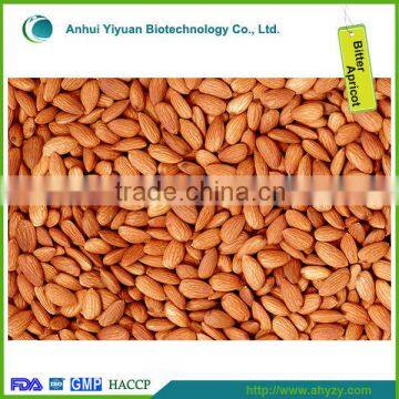 Organic Dry Bitter Apricot Kernel Price