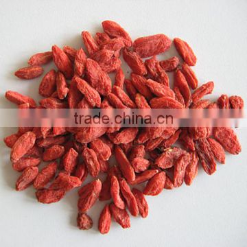 Wholesale 2016 Ningxia Goji berry from Farm