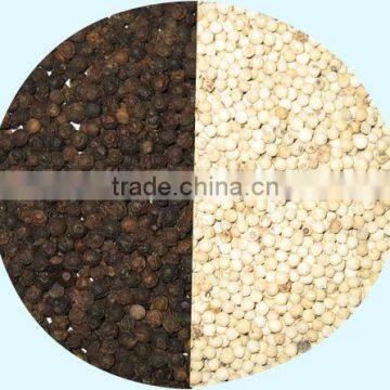 High Quality Black Pepper