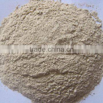 Dehydrated Garlic Powder