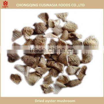 Dried pleurotus ostreatus even oyster mushroom