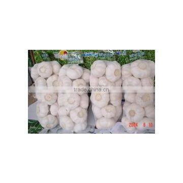 YUYUAN Brand Hot Sail Fresh Garlic Bulk Garlic for Sale