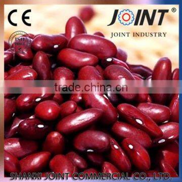 fresh red kidney beans supplier