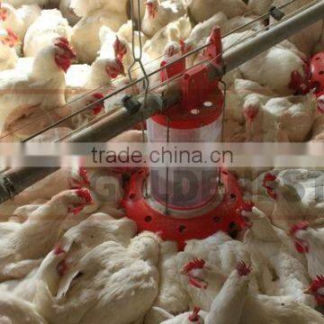 Automatic Poultry Feeder Equipment|industry Goose Feeding Line