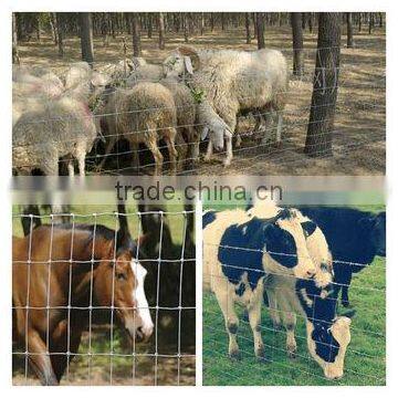 China Manufacturer Metal Horse / Deer Fence Mesh For Sale