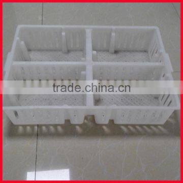 Chicken farm equipment plastic transport crate for Baby chick