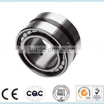 SL 18 Double Row Cylindrical Roller Bearing SL Bearing Made in China photo-2