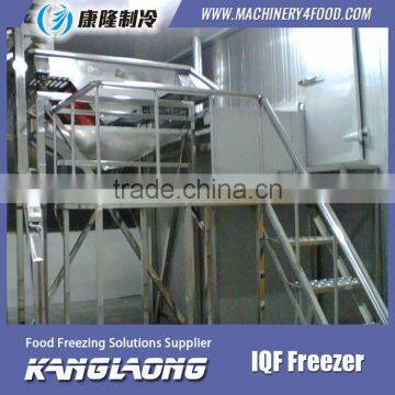 High Quality IQF Frozen Fruit Mango Machine With Good Price photo-6