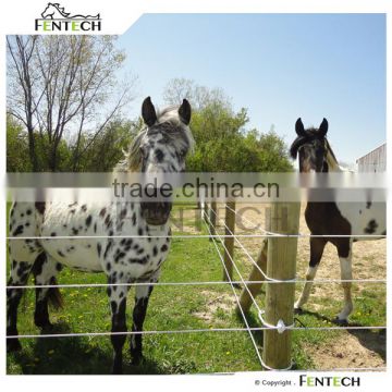 High Quality Fentech Electric Fence Plastic Post